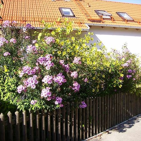 Вилла Wiflinger Graben Einfamilienhaus Worth Экстерьер фото